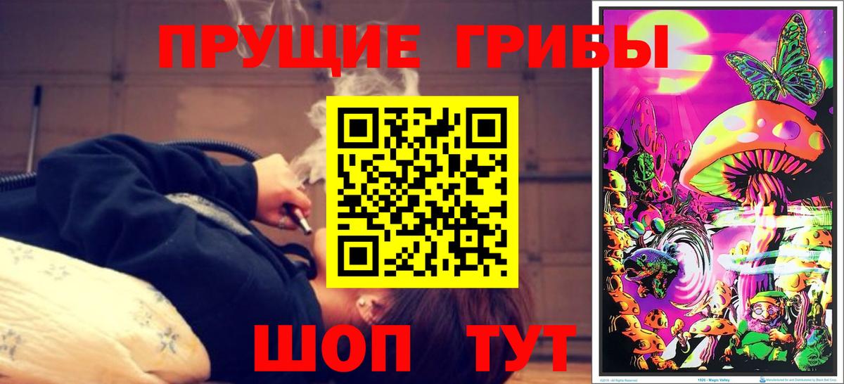 Котлас  Галлюциногенные грибы Magic Shrooms  Вход с VPN  Галлюциногенные грибы MAGIC MUSHROOMS 